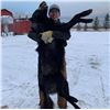 Image 1 : Who's ready for a solo adventure with wolves, and canadian fishing in the peaceful timber country!