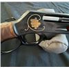 Image 2 : 2023 SCI Nashville Annual Convention Gun!