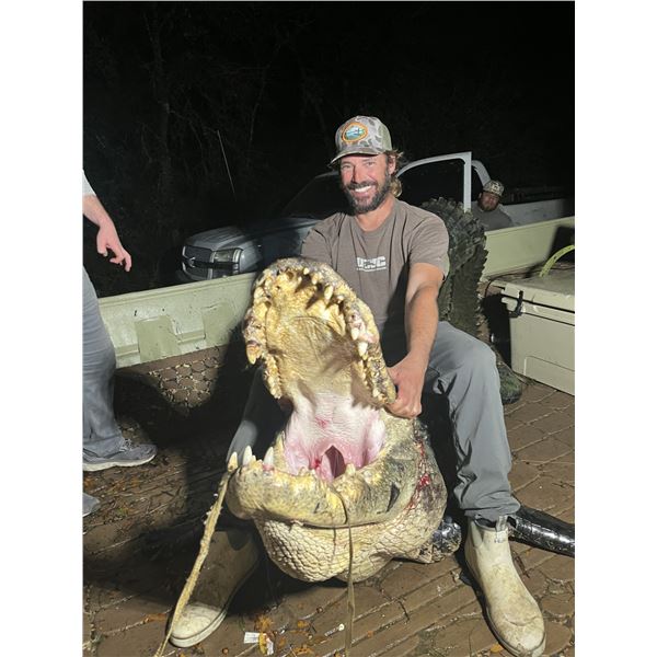 Alligator Hunt for Two in Florida