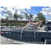 Image 2 : Alligator Hunt for Two in Florida