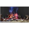 Image 4 : Old Mexico Coues Deer Hunt for 1