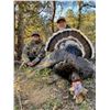 Image 7 : Gould's Turkey in Old Mexico