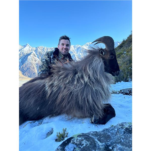 5 day New Zeeland Hunt for Tahr or Chamois