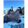 Image 1 : 5 day New Zeeland Hunt for Tahr or Chamois