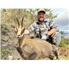 Image 7 : 5 day New Zeeland Hunt for Tahr or Chamois