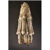 Image 1 : Coyote Pelt to raise funds for Special Olympics