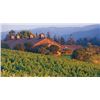 Image 5 : 5 days 4 nights in Anderson Valley Wine Country