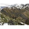 Image 12 : Guided Grizzly and Caribou combo for 2 hunters in the ANWR