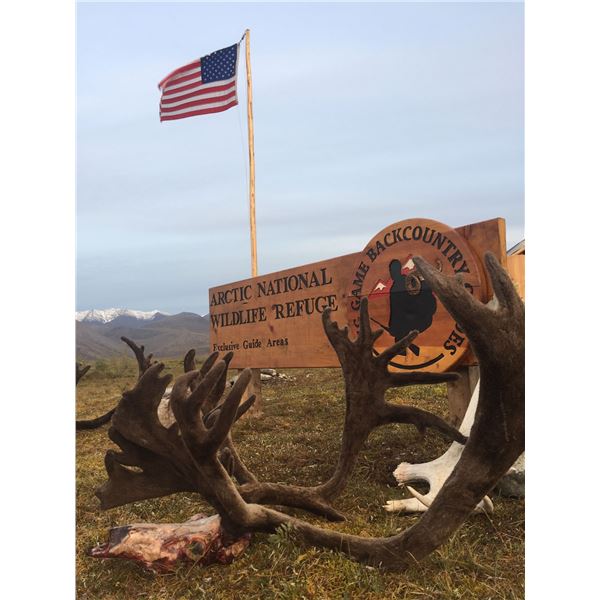 Guided Grizzly and Caribou combo for 2 hunters in the ANWR