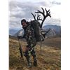 Image 2 : Guided Grizzly and Caribou combo for 2 hunters in the ANWR