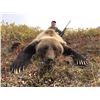 Image 7 : Guided Grizzly and Caribou combo for 2 hunters in the ANWR