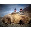 Image 8 : Guided Grizzly and Caribou combo for 2 hunters in the ANWR