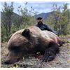 Image 9 : Guided Grizzly and Caribou combo for 2 hunters in the ANWR