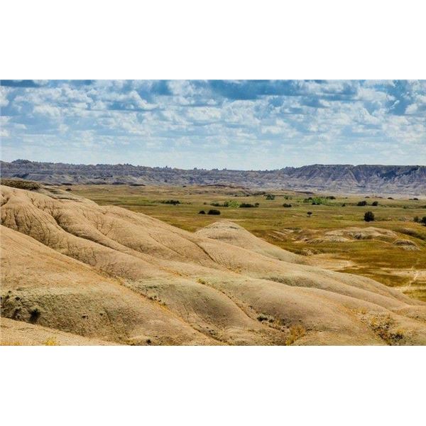 3 day 2 person 2 birds per person Merriam Turkey and Prairie Dogs Standing Rock Reservation