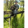 Image 2 : Rio Grande Turkey Hunt for Two in Texas