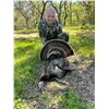 Image 4 : Rio Grande Turkey Hunt for Two in Texas