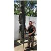 Image 3 : Florida Gator & Hog Hunt Combo for 1