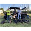 Image 8 : Florida Gator & Hog Hunt Combo for 1