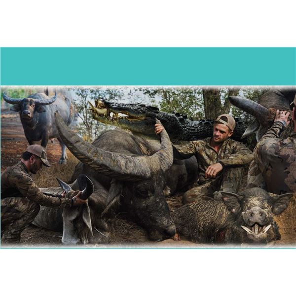 AUSTRALIA BUFFALO HUNT FOR 2 HUNTERS, INLCUDING BUFFALO COW AND WILDBOAR