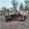 Image 7 : Seven Day Elephant Safari in Zimbabwe