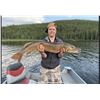 Image 6 : Four Day Saskatchewan Fly-In Fishing for Two