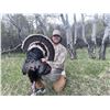 Image 1 : Two-Day Merriam's Turkey Hunt in Wyoming