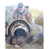 Image 2 : Two-Day Merriam's Turkey Hunt in Wyoming