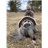 Image 4 : Two-Day Merriam's Turkey Hunt in Wyoming