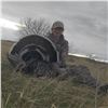 Image 5 : Two-Day Merriam's Turkey Hunt in Wyoming