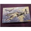 Image 1 : HASEGAWA P-51K Mustang Model