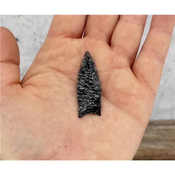 Ancient Native American Indian Arrowhead Oregon