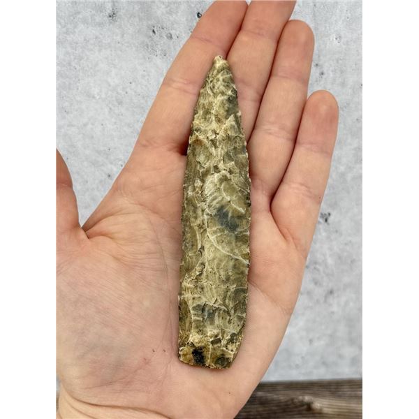 Ancient Native American Indian Arrowhead Spear