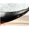 Image 9 : Haida Northwest Coast Native American Horn Spoon