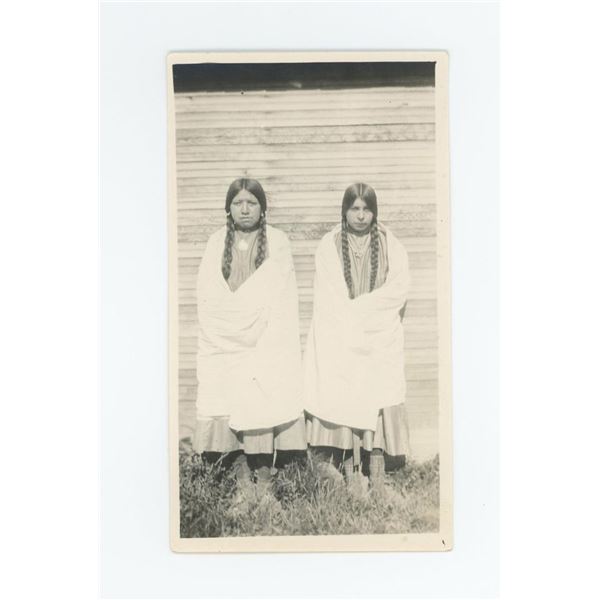 Rosa Bompard Bird Florence Medicine Tail Photo