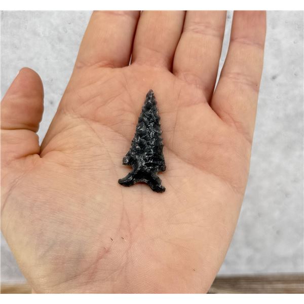 Ancient Native American Indian Arrowhead Oregon