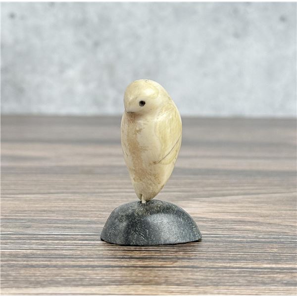 Letia Koonoo Tagornak Inuit Carved Ivory Owl