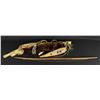 Image 4 : Nez Perce Native American Indian Otter Bow Case