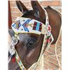 Image 11 : Lakota Sioux Native American Indian Headstall