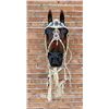 Image 3 : Lakota Sioux Native American Indian Headstall