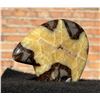 Image 3 : Zuni Septarian Nodule Bear Carving
