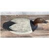 Image 3 : Ken Harris Canvasback Duck Decoy