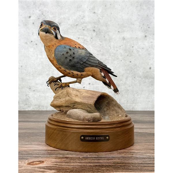 Charles Beckendorf American Kestrel Wood Carving