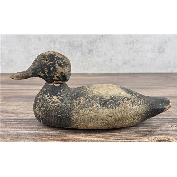 Victor Animal Trap Company Wood Duck Decoy
