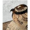 Image 7 : Casey Edwards Flying Owl Decoy