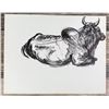 Image 1 : Janet Elizabeth Turner Brahman Bull Sketch