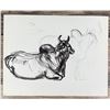 Image 1 : Janet Elizabeth Turner Brahman Bull Sketch