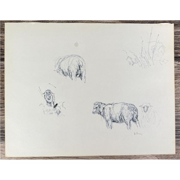 Janet Elizabeth Turner Sheep Sketch