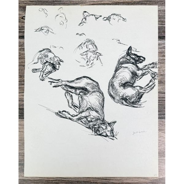 Janet Elizabeth Turner Dog Sketch