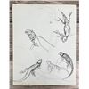 Image 1 : Janet Elizabeth Turner Iguana Lizard Sketch