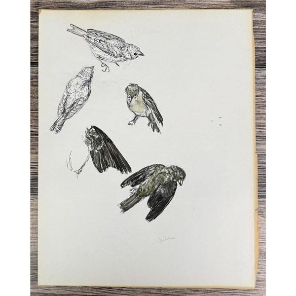 Janet Elizabeth Turner Sparrow Watercolor Painting